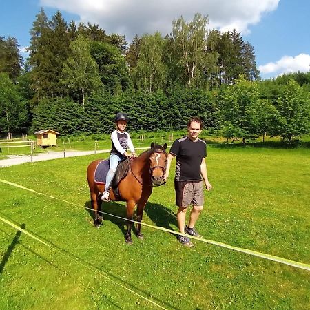 Affittacamere Ferienbauernhof Mehlbach Kollnburg Esterno foto