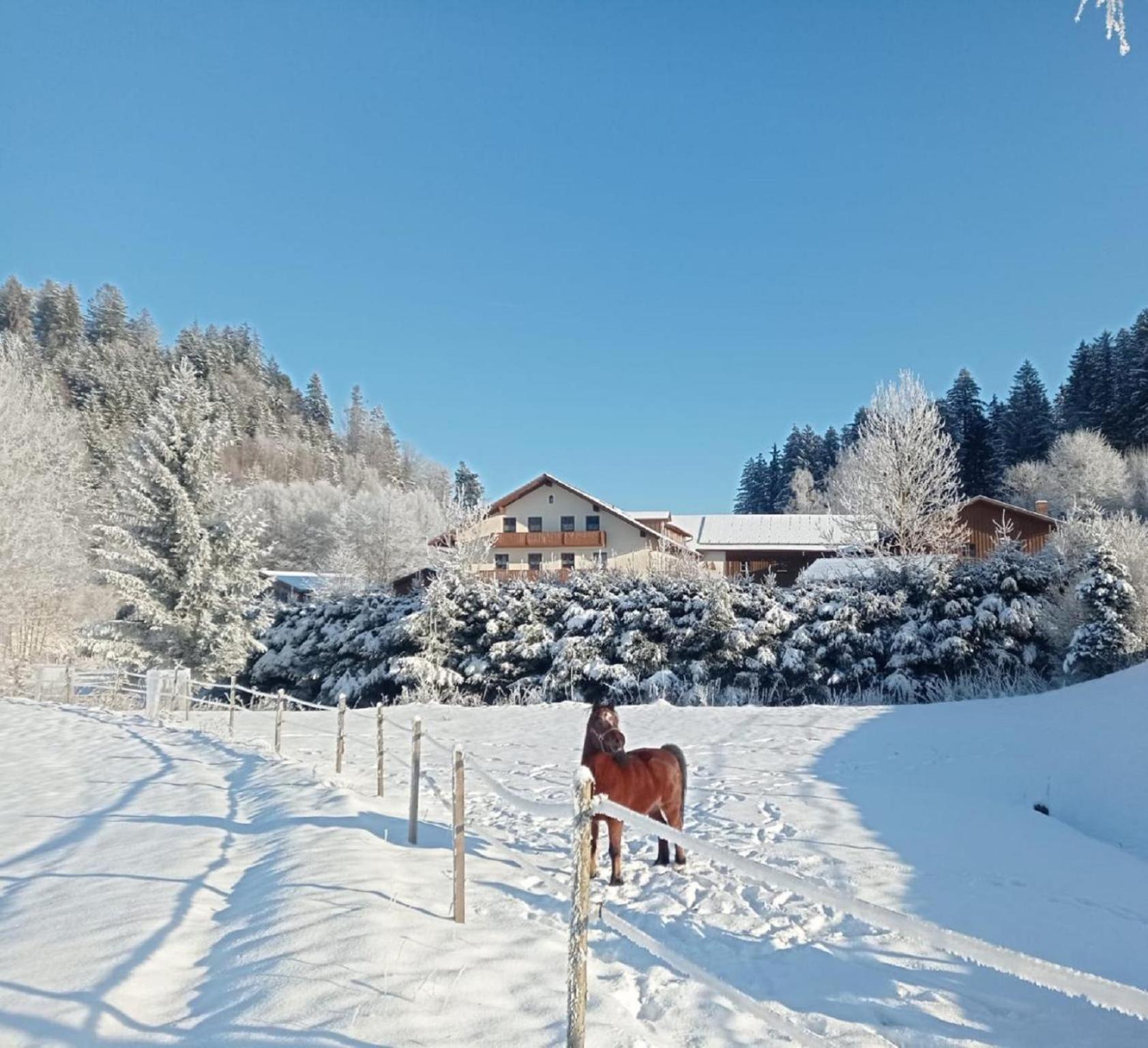 Affittacamere Ferienbauernhof Mehlbach Kollnburg Esterno foto