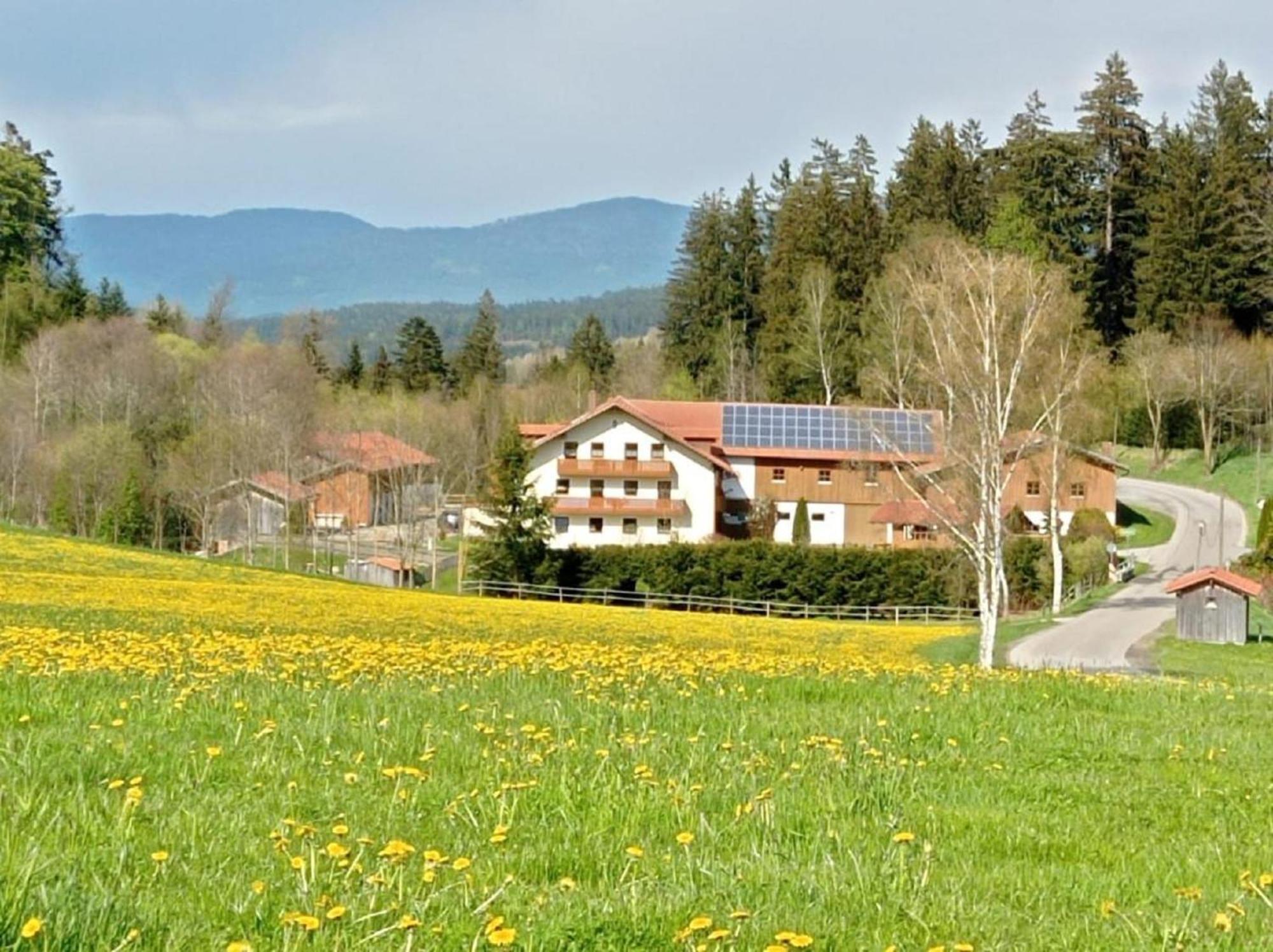 Affittacamere Ferienbauernhof Mehlbach Kollnburg Esterno foto
