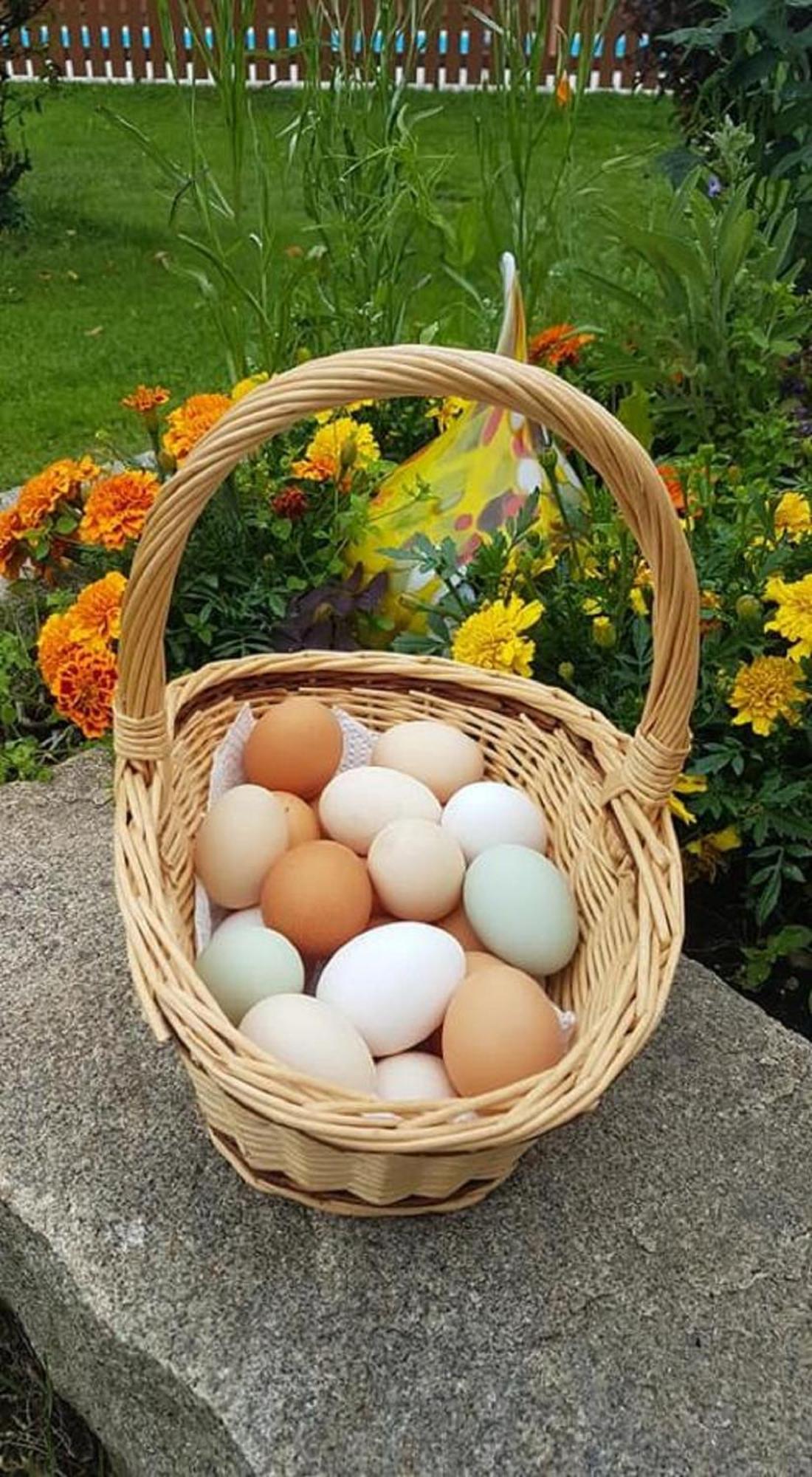 Affittacamere Ferienbauernhof Mehlbach Kollnburg Esterno foto