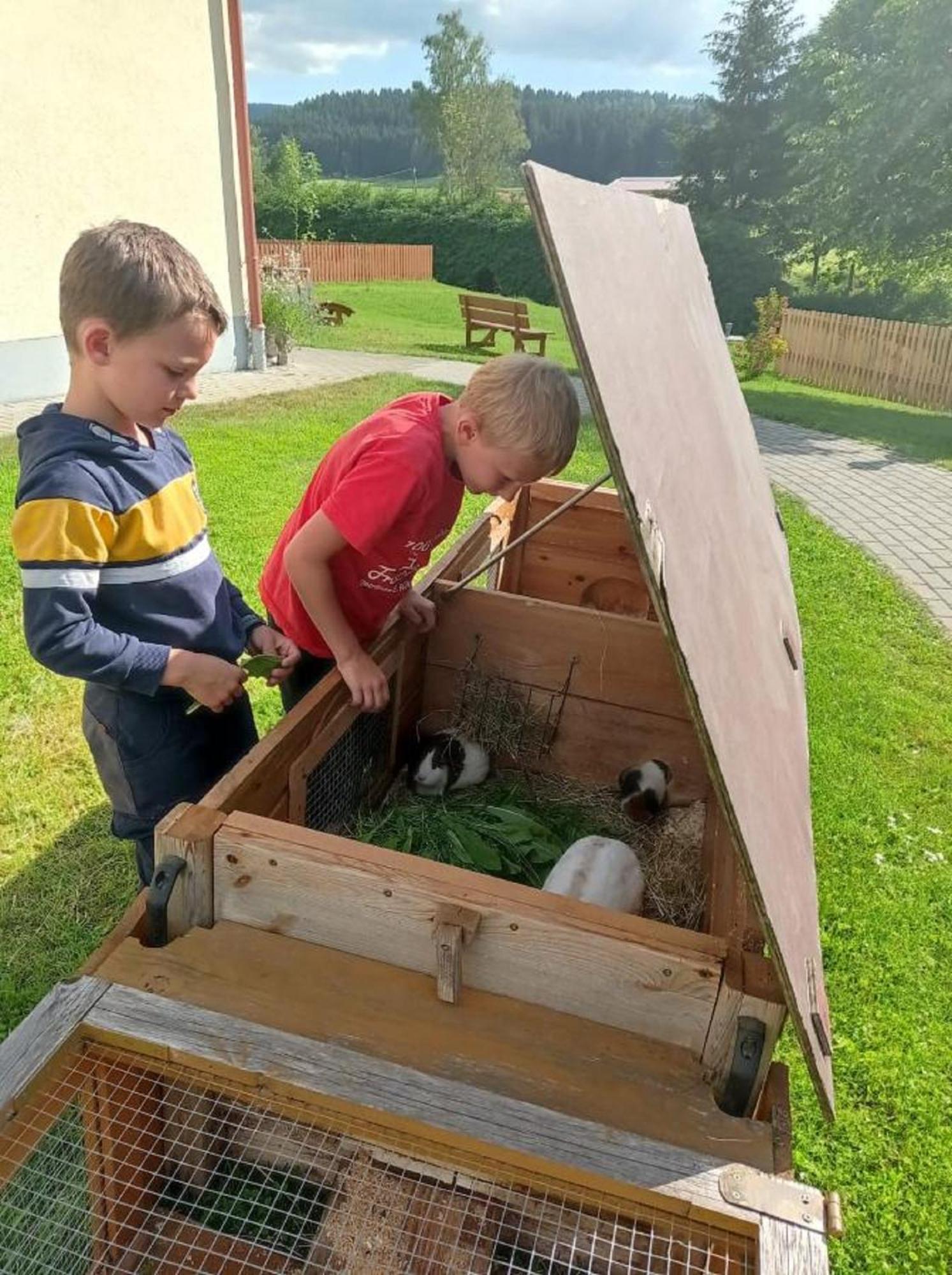 Affittacamere Ferienbauernhof Mehlbach Kollnburg Esterno foto