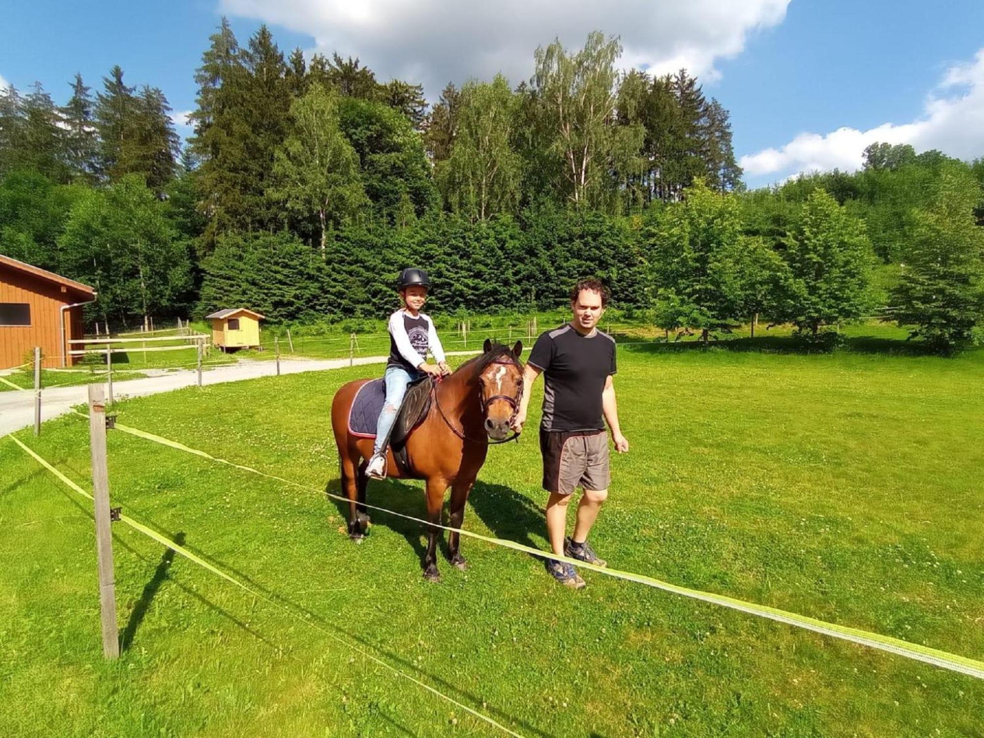 Affittacamere Ferienbauernhof Mehlbach Kollnburg Esterno foto