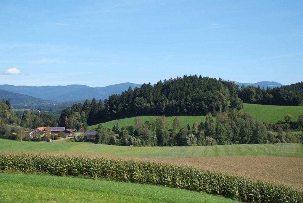 Affittacamere Ferienbauernhof Mehlbach Kollnburg Esterno foto