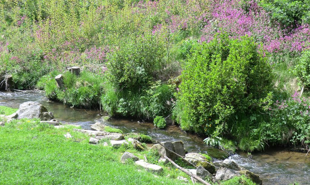 Affittacamere Ferienbauernhof Mehlbach Kollnburg Esterno foto